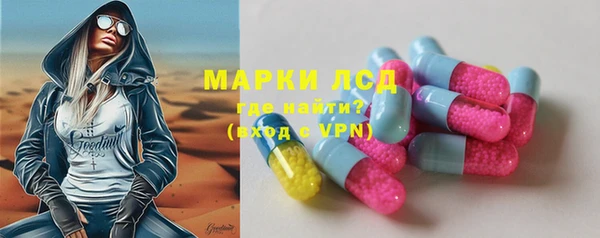 стаф Алексин