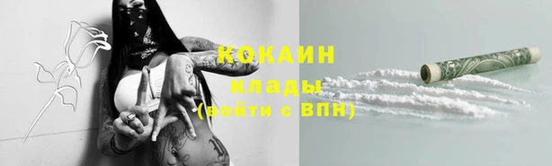 сатива Алзамай