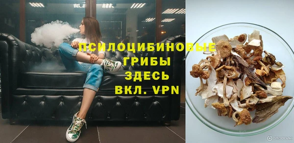 прущие грибы Радужный
